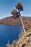 Argentina - lago espejo - 